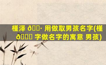 槿泽 🕷 用做取男孩名字(槿 🐝 字做名字的寓意 男孩)